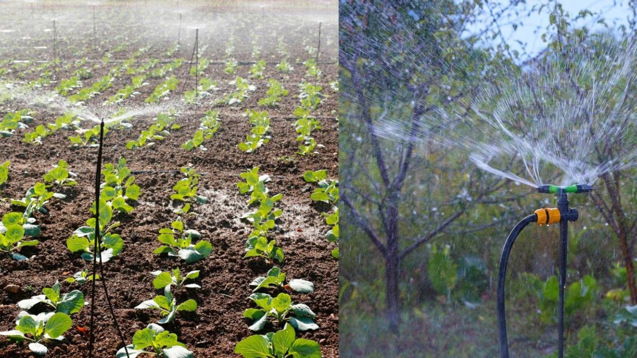ساختار انواع آبپاش‌های کشاورزی